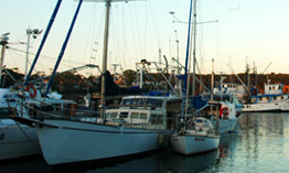 Ulladulla Harbour, home to dozens of fishing and leisure craft.